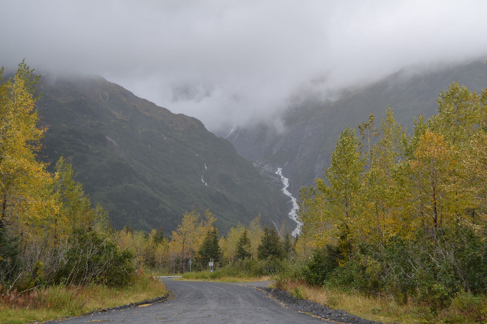 My '11 Limited F-150 #3679 - Page 6 - Ford Truck Enthusiasts Forums